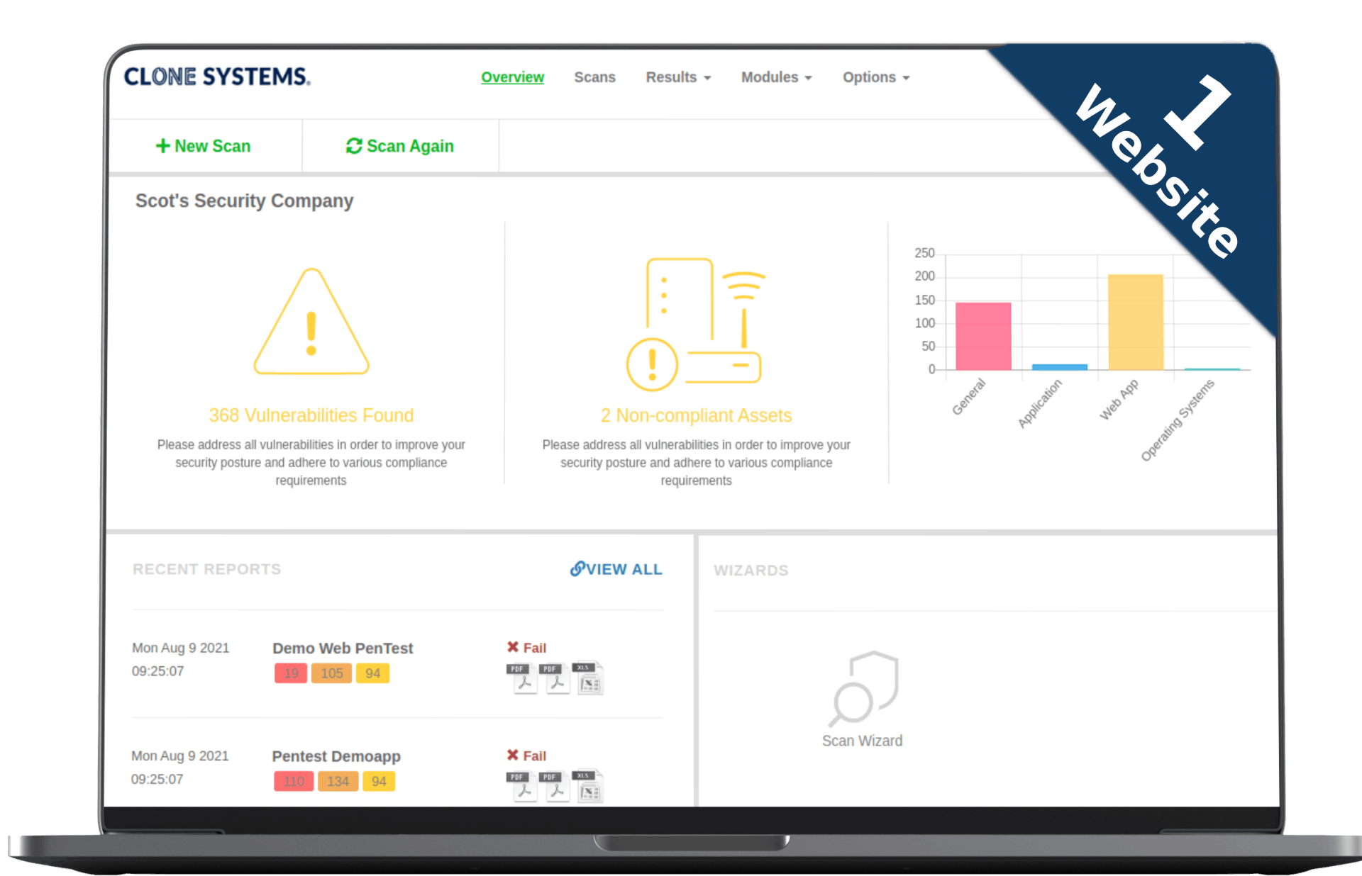 Website Security Scanning Professional