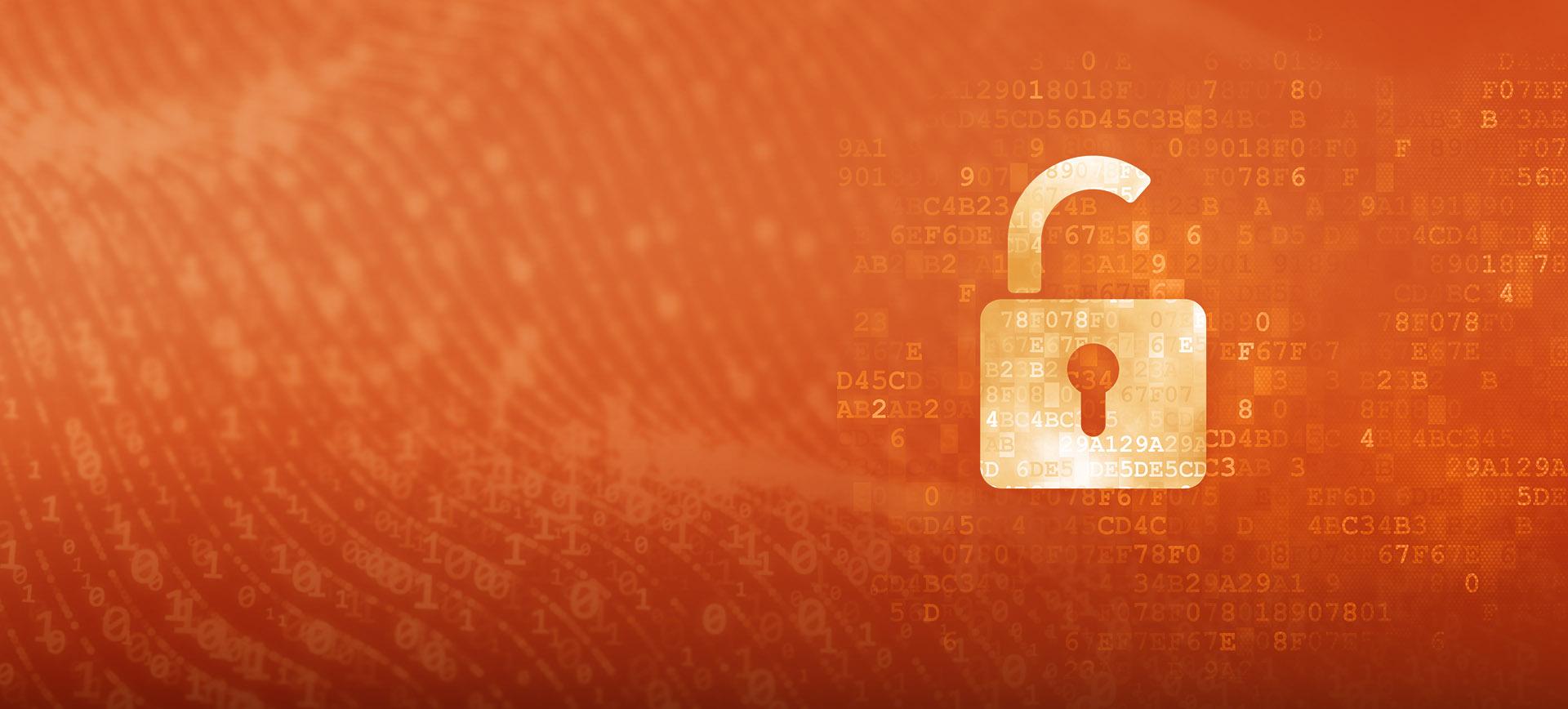 Risk Vulnerabilities Background Orange